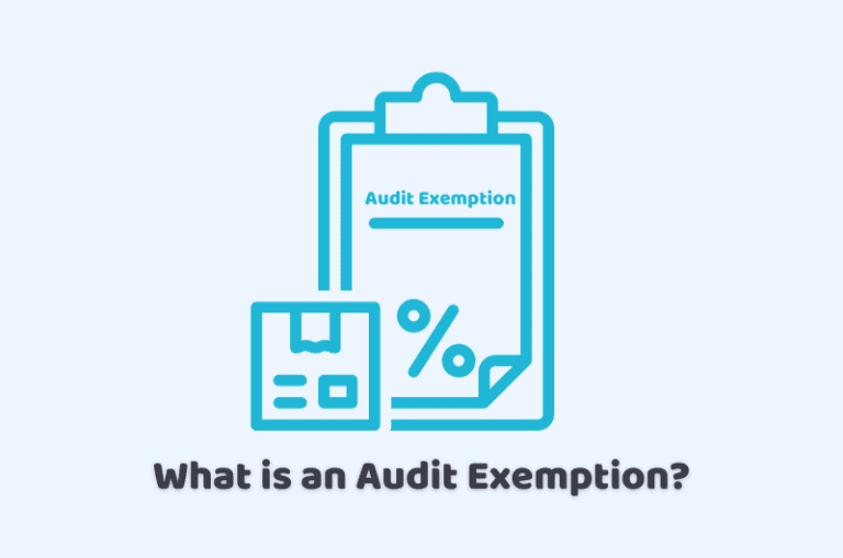 Audit exemption